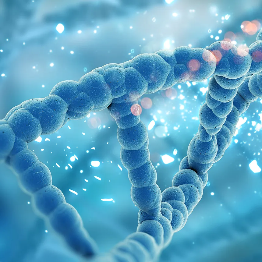 The Science Behind Stem Cells: How Your Body Heals Itself